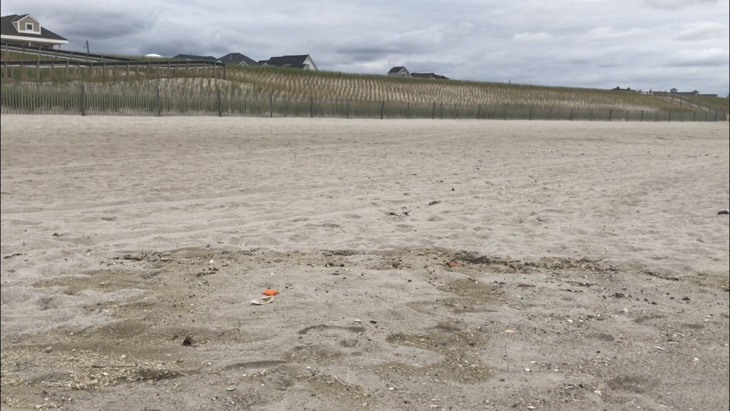 High tide water marks head toward the toe of a dune in Ortley Beach. (Photo: Daniel Nee)