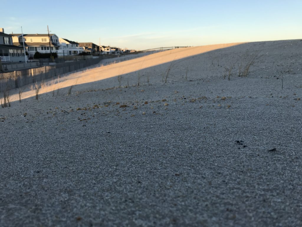 Bare dunes in Lavallette, Dec. 2019. (Photo: Daniel Nee)