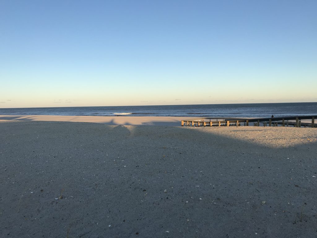 Bare dunes in Lavallette, Dec. 2019. (Photo: Daniel Nee)