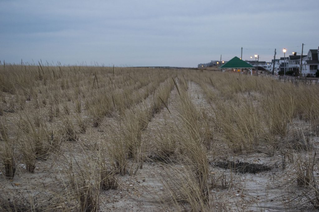 The Seaside Park boardwalk and dune line, Jan. 2020. (Photo: Daniel Nee)