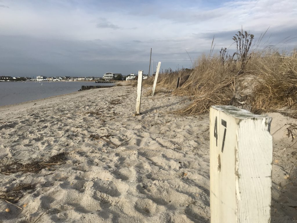 Moorings at the Lavallette bay beach. (Photo: Daniel Nee)