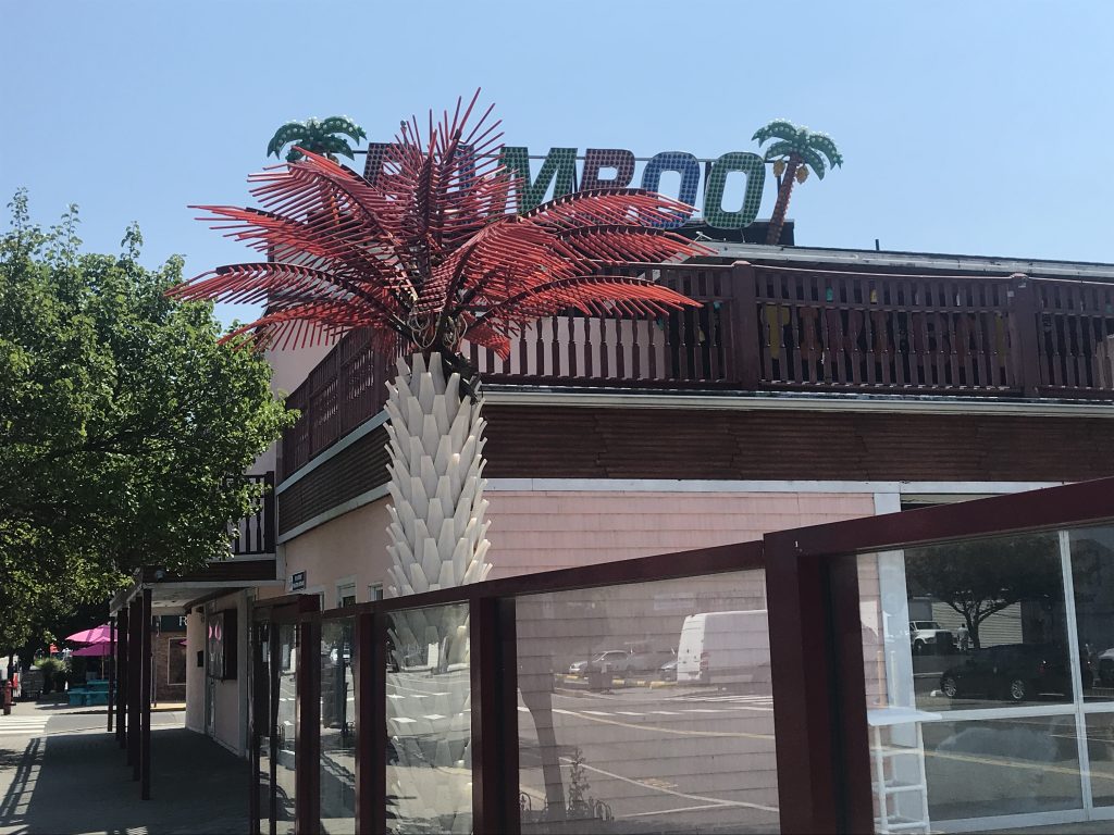 Bamboo, Seaside Heights, July 2020. (Photo: Daniel Nee)