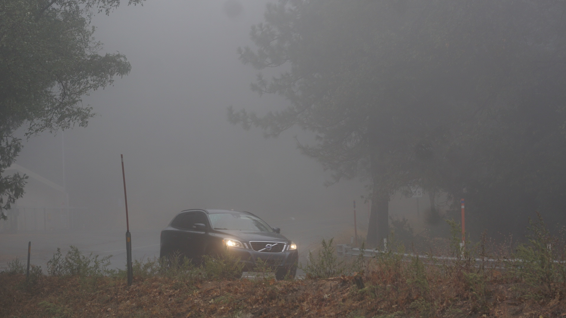 Fog conditions on a roadway. (Credit: San Bernardino Nat'l Forest/ Flickr/ File Photo)