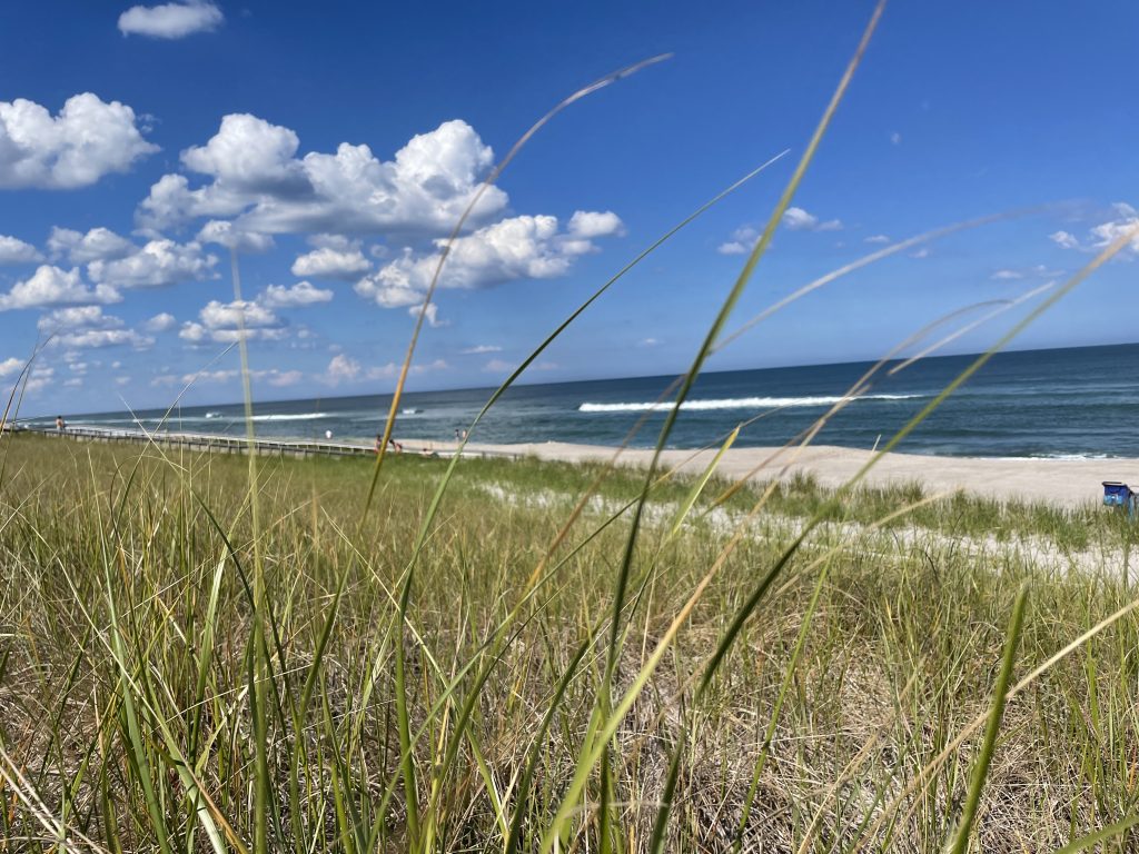 Ortley Beach following repairs, June 2021. (Photo: Daniel Nee)