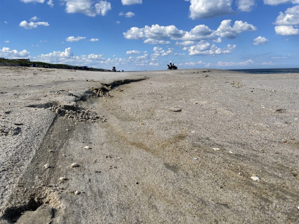 Ortley Beach following repairs, June 2021. (Photo: Daniel Nee)