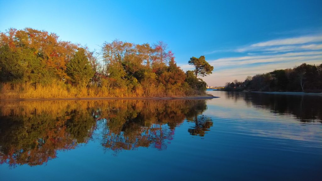Spectacular fall foliage at F-Cove in Brick Township, Oct. and Nov. 2021. (Photo: Daniel Nee)