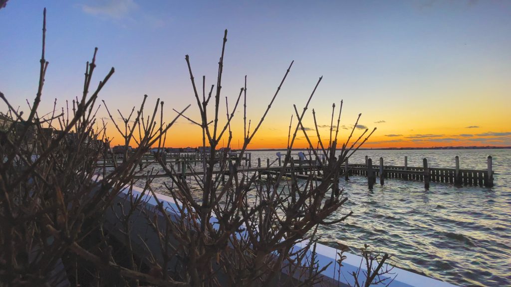 A chilly Barnegat Bay, Jan. 11, 2022. (Photo: Daniel Nee)