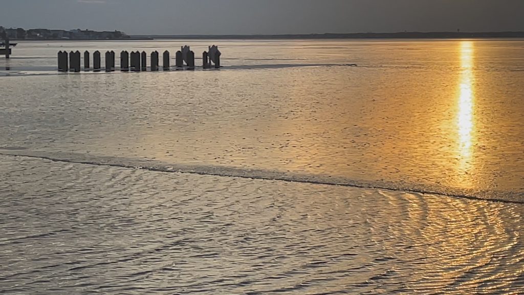 Ice forms on Barnegat Bay, Jan. 23, 2022. (Photo: Daniel Nee)