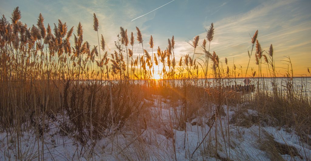Sunset on Barnegat Bay, Jan. 4, 2022. (Photo: Daniel Nee)