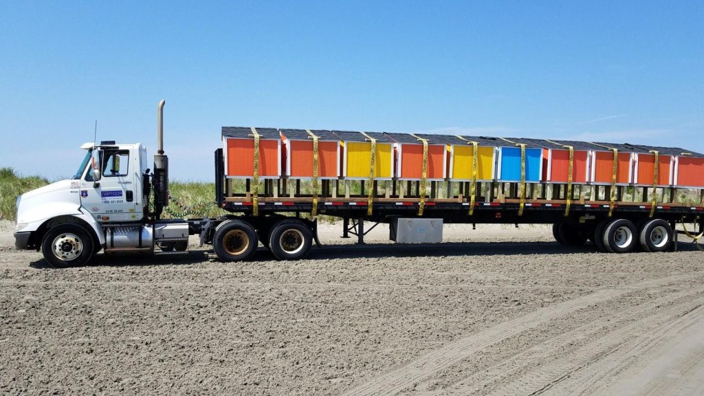 Beach locker boxes manufactured in a job training program with the New Jersey Department of Corrections. (Photo: NJDOC)