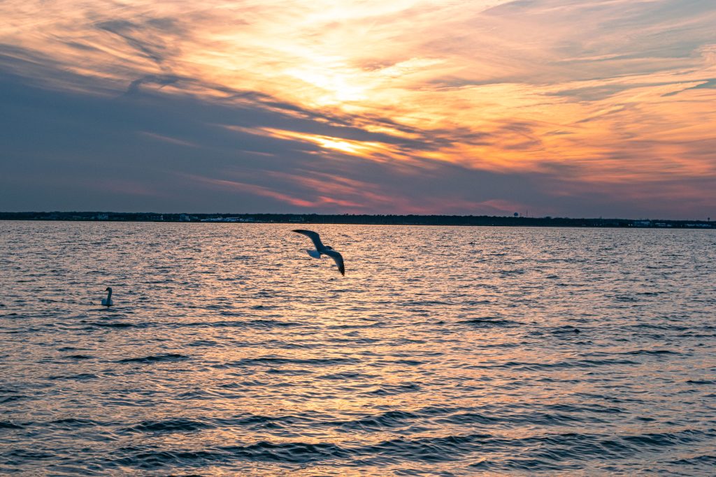 A glowing sunset with signs of spring, Feb. 26, 2022, in Seaside Park, N.J. (Photo: Daniel Nee)