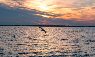 A glowing sunset with signs of spring, Feb. 26, 2022, in Seaside Park, N.J. (Photo: Daniel Nee)