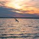 A glowing sunset with signs of spring, Feb. 26, 2022, in Seaside Park, N.J. (Photo: Daniel Nee)