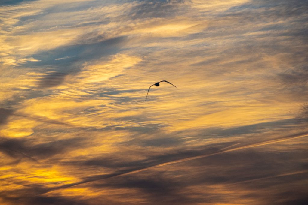 A glowing sunset with signs of spring, Feb. 26, 2022, in Seaside Park, N.J. (Photo: Daniel Nee)
