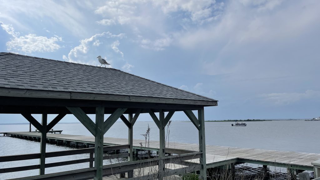 Lavallette bayfront, June 2, 2022. (Photo: Daniel Nee)