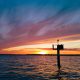 A channel marker at sunset in Barnegat Bay, June 28, 2022. (Photo: Daniel Nee)