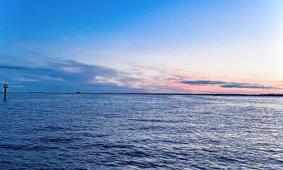 Barnegat Bay, Aug. 15, 2022, off Normandy Beach. (Photo: Daniel Nee)