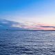 Barnegat Bay, Aug. 15, 2022, off Normandy Beach. (Photo: Daniel Nee)