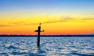 A sunset on Barnegat Bay, Aug. 20, 2022. (Photo: Daniel Nee)