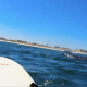 A whale breached the surface directly beside a lifeguard on a rescue surf board in Seaside Park, N.J., Sept. 1, 2022. (Screenshot: Kate Rizzo)
