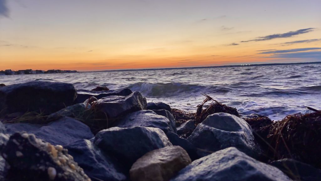 Barnegat Bay, Nov. 17, 2022. (Photo: Daniel Nee)