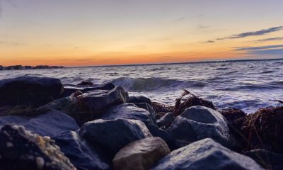 Barnegat Bay, Nov. 17, 2022. (Photo: Daniel Nee)