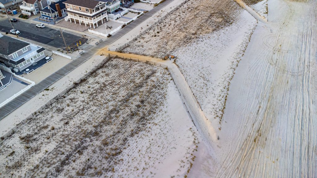 Dunes in Lavallette, N.J., Nov. 2022. (Photo: Daniel Nee)