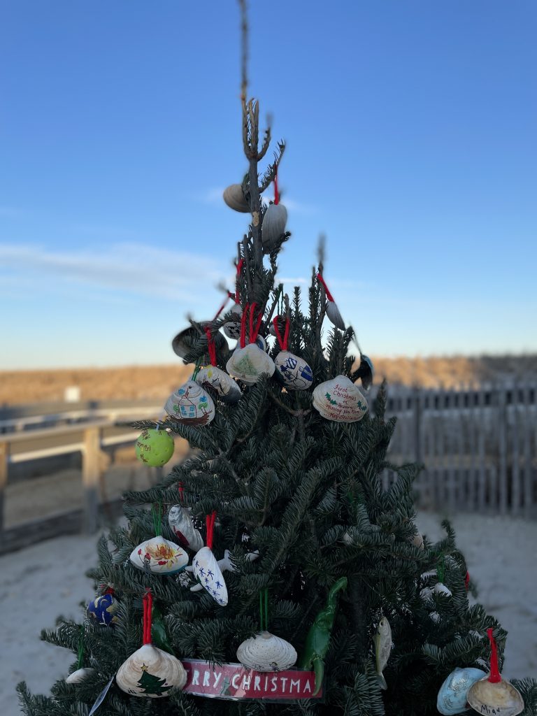 Lavallette's new, oceanfront community Christmas tree on Philadelphia Avenue, Dec. 20, 2022. (Photo: Daniel Nee)