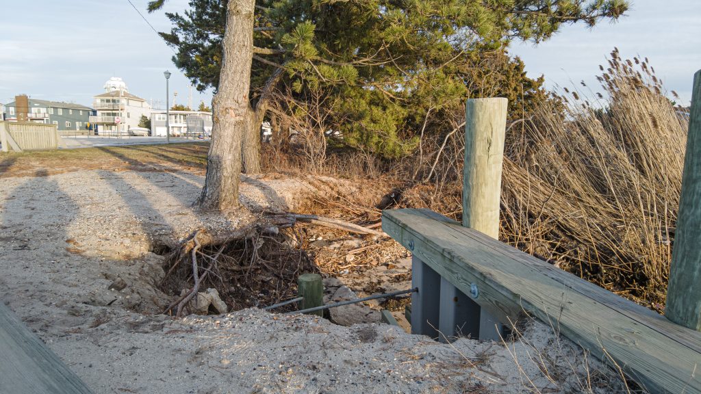 Erosion near the 14th Avenue Pier in Seaside Park, N.J., Feb. 2023. (Photo: Daniel Nee)