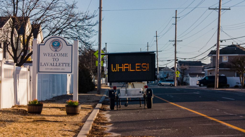 An electronic message board in Lavallette displays 'Save The Whales' along Route 35 South. (Photo: Daniel Nee)