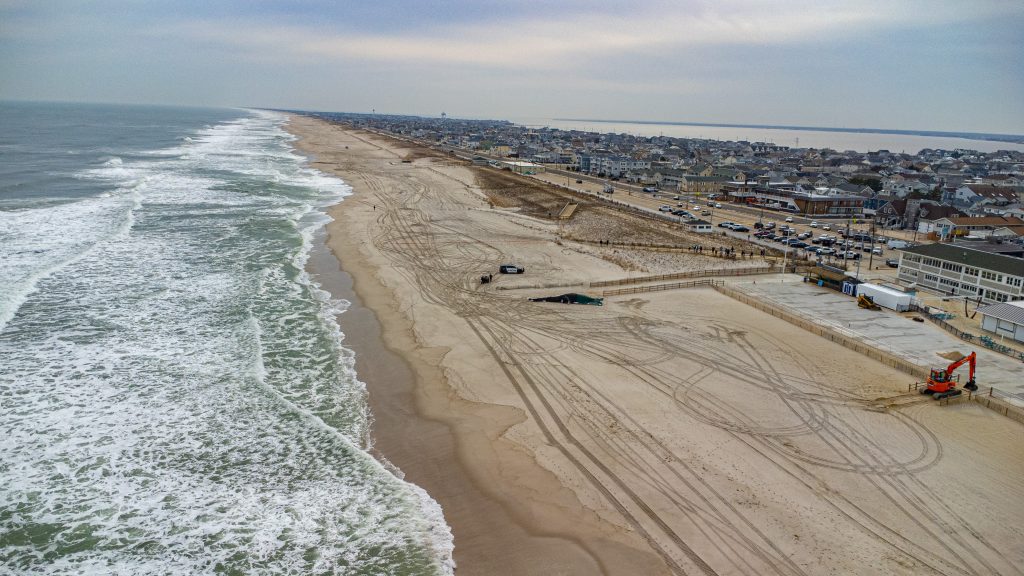 A whale washes ashore at Funtown Beach, Seaside Park, N.J., March 2, 2023. (Photo: Daniel Nee)