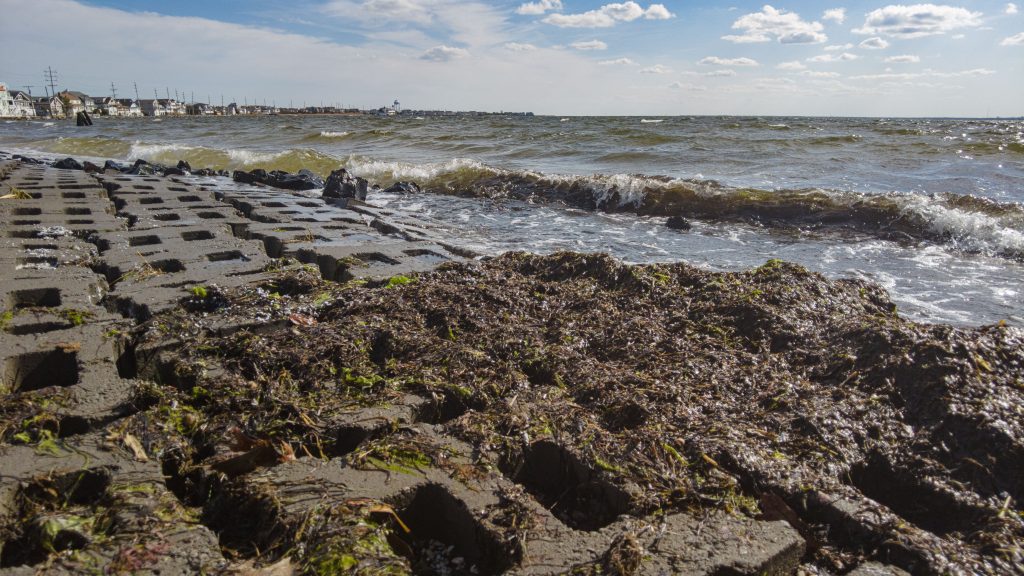 A project to build up the shoreline near the J Street Marina in Seaside Park, N.J., is completed in time for the 2023 spring. (Photo: Shorebeat)