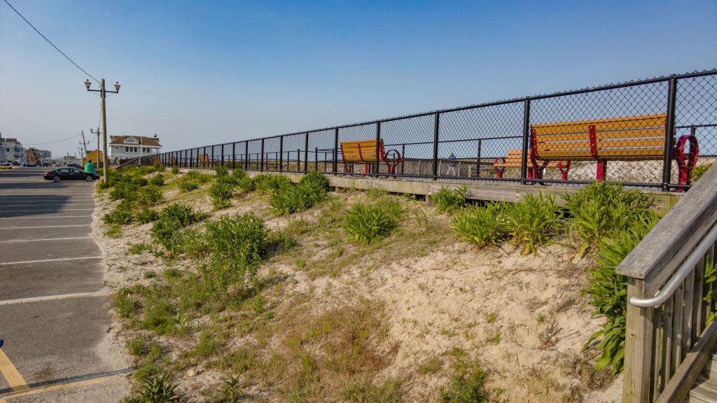 The site of a future pollinator garden along the oceanfront in Ortley Beach, May 2023. (Photo: Shorebeat)