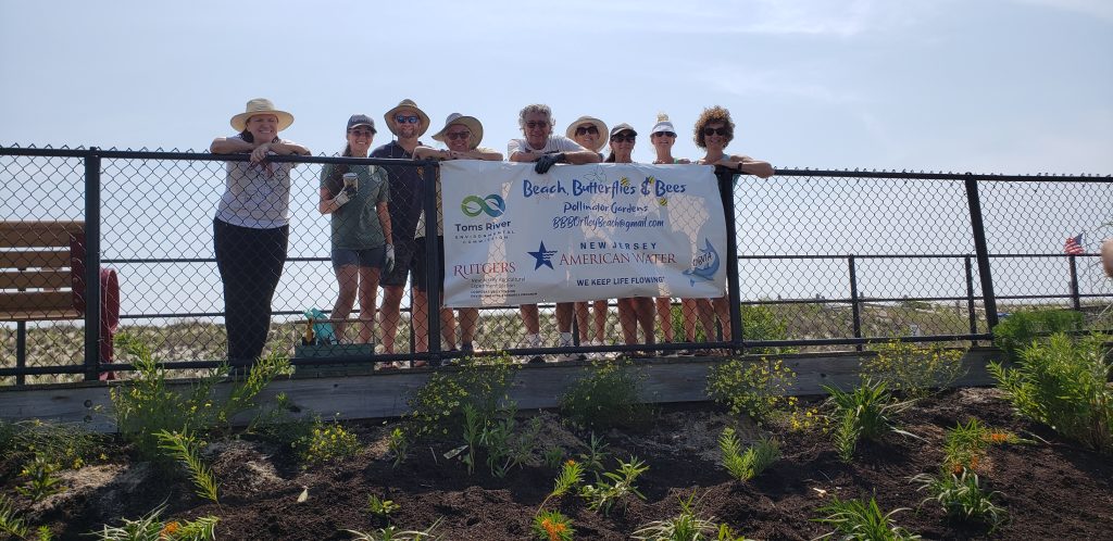 A pollinator garden planted along the boardwalk in Ortley Beach, N.J., July 2023. (Photo: Sharon Colucci)