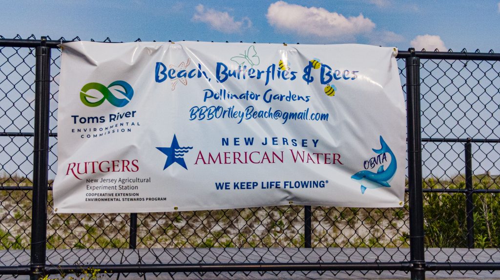A pollinator garden planted along the boardwalk in Ortley Beach, N.J., July 2023. (Photo: Shorebeat)