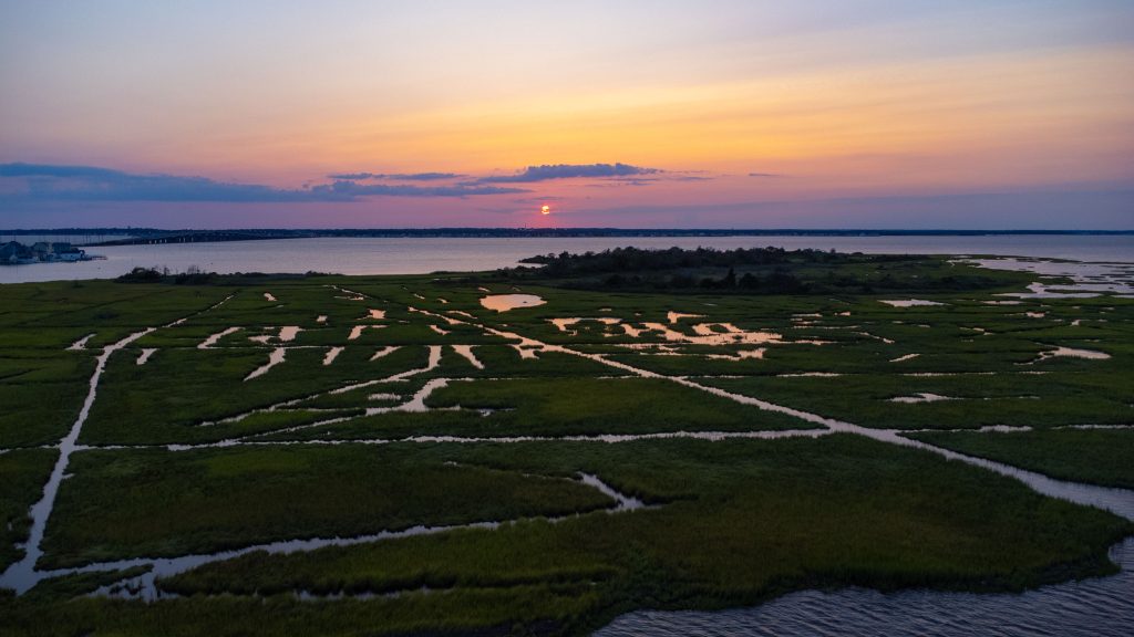 Sedge islands off Seaside Heights and Ortley Beach, N.J., July 2023. (Photo: Shorebeat)