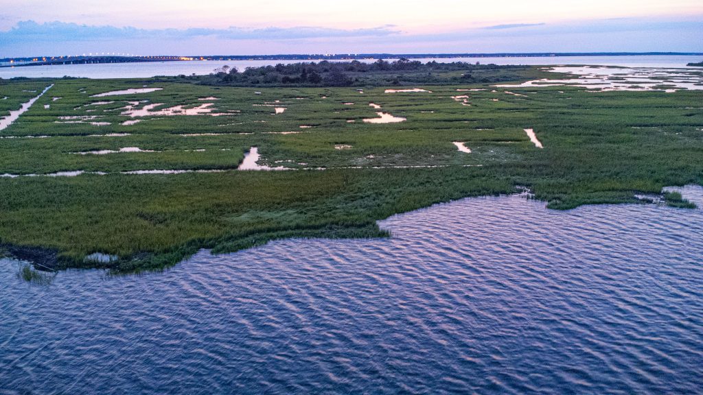 Sedge islands off Seaside Heights and Ortley Beach, N.J., July 2023. (Photo: Shorebeat)
