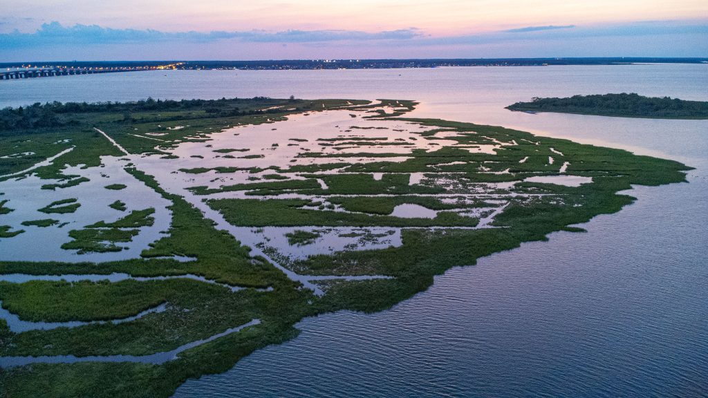 Sedge islands off Seaside Heights and Ortley Beach, N.J., July 2023. (Photo: Shorebeat)