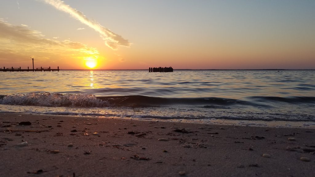 Sunset, Nov. 7, 2023 behind Barnegat Bay at the Lavallette bayfront. (Photo: Shorebeat)