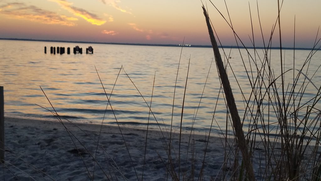 Sunset, Nov. 7, 2023 behind Barnegat Bay at the Lavallette bayfront. (Photo: Shorebeat)