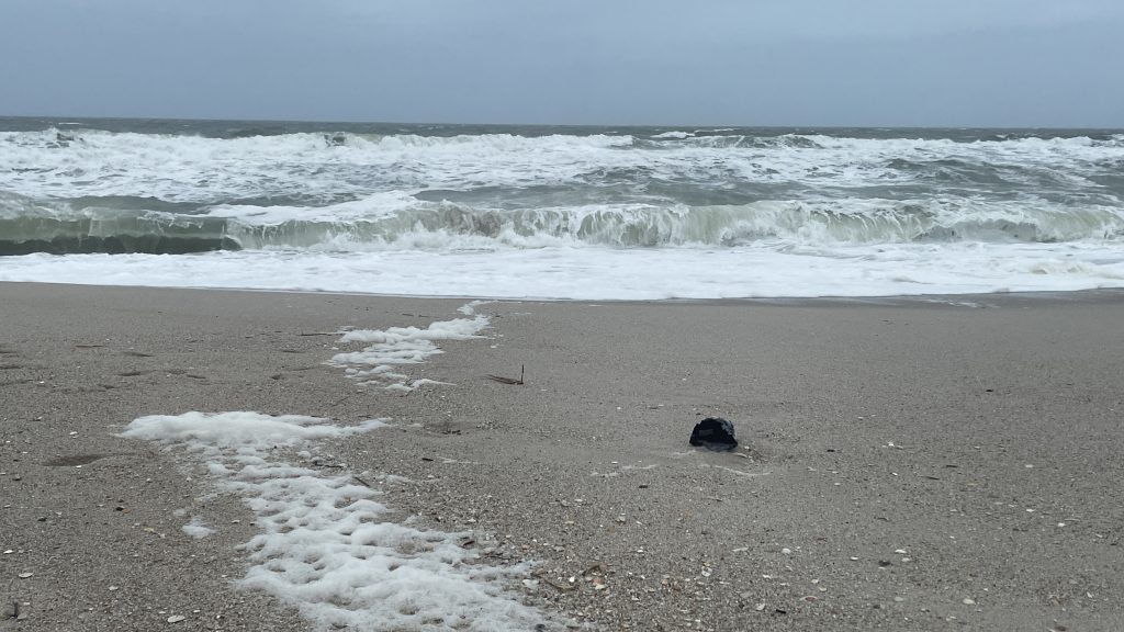 A storm moves into Ocean County, Jan. 9, 2024. (Photo: Shorebeat)