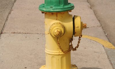 Fire hydrant. (Credit: Kamoteus/ Creative Commons)