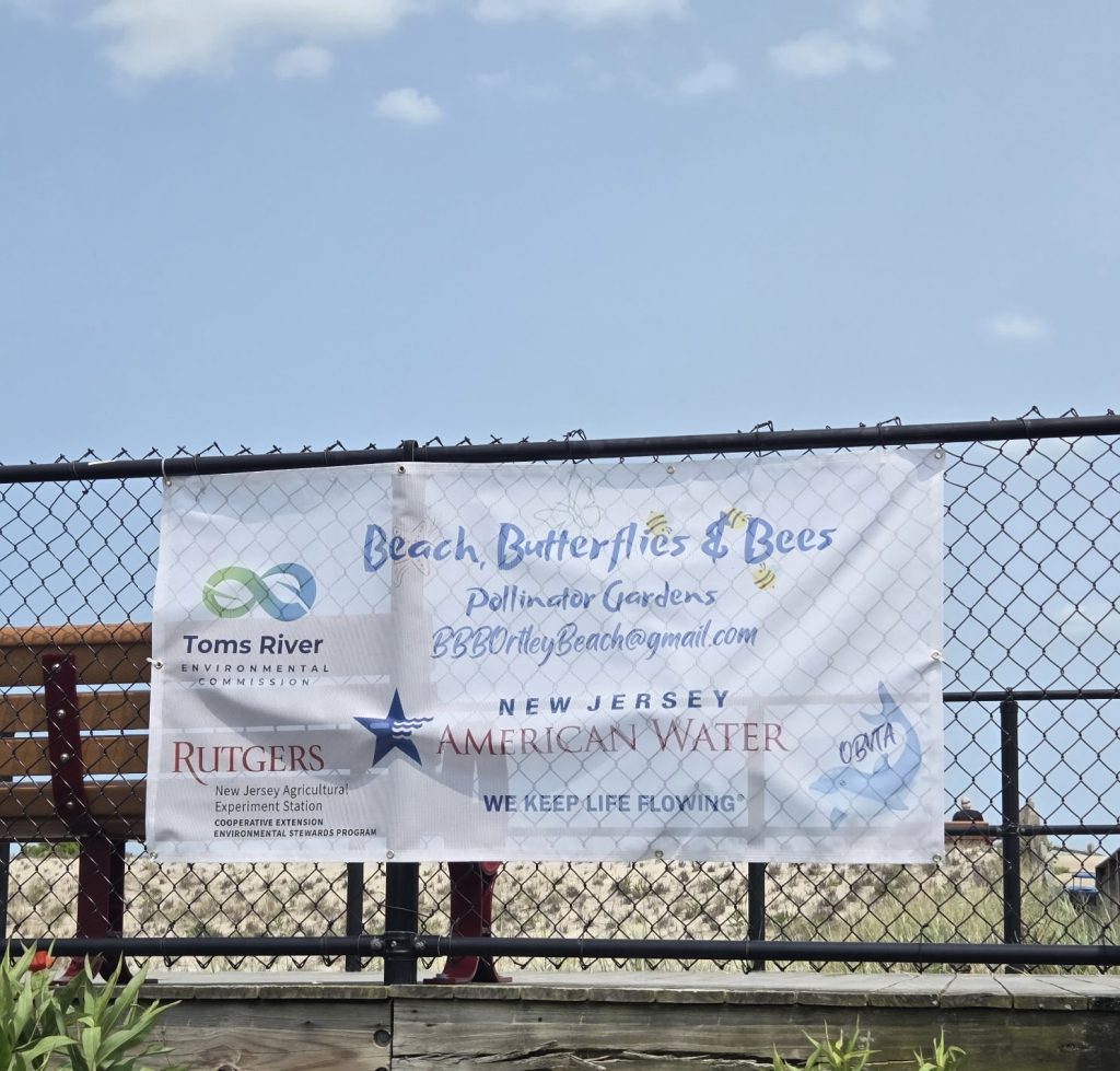 The Ortley Beach oceanfront pollinator garden near 5th Avenue. (Photo: Sharon Quilter-Colucci)