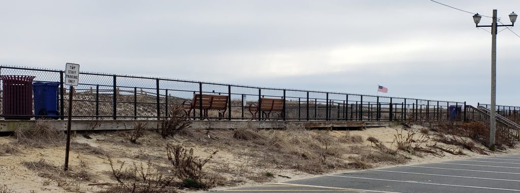The Ortley Beach oceanfront pollinator garden near 5th Avenue. (Photo: Sharon Quilter-Colucci)