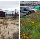 The Ortley Beach oceanfront pollinator garden near 5th Avenue. (Photo: Sharon Quilter-Colucci)