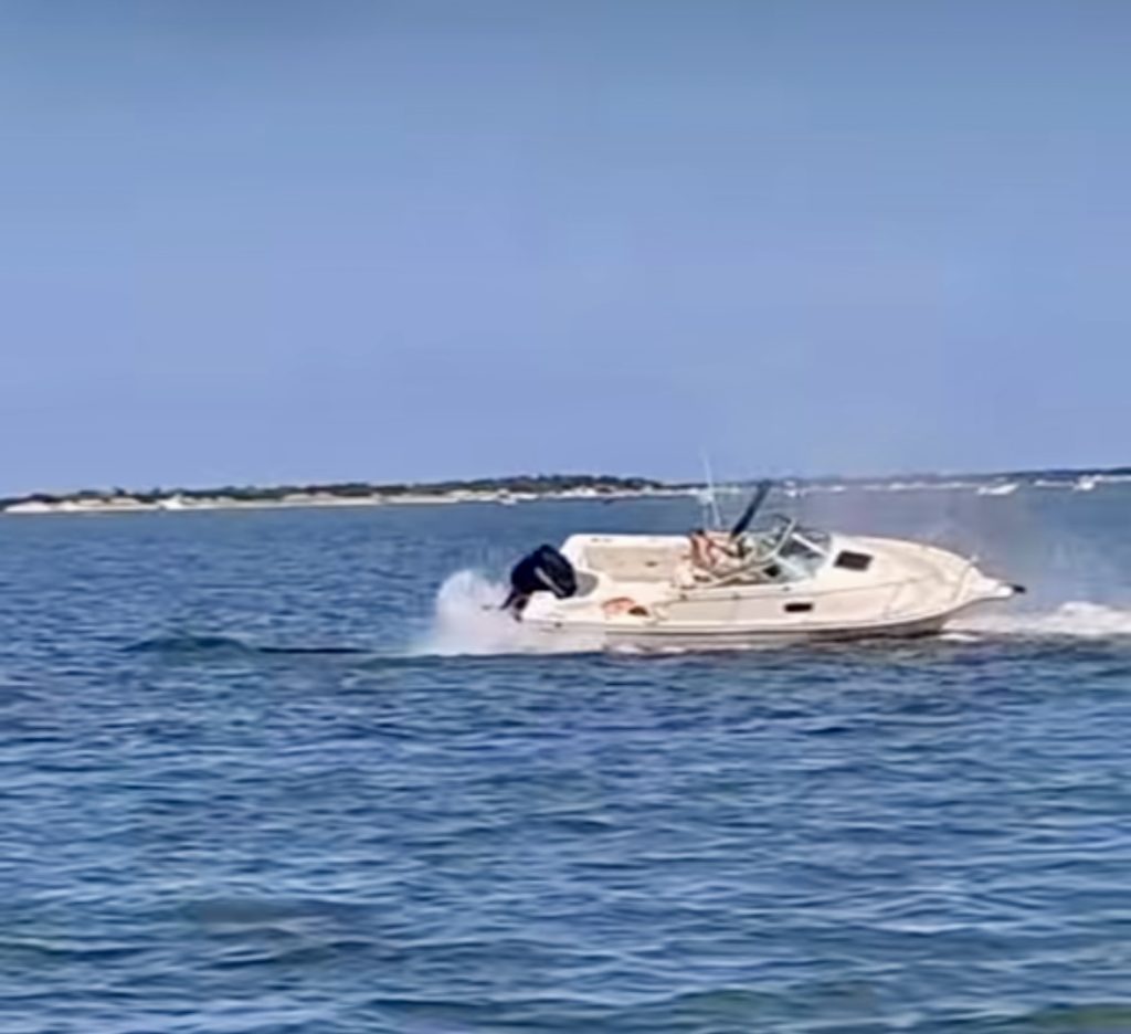 A vessel in Barnegat Bay encounters a whale near the Double Creek Channel. (Credit: Screenshot/Fisherman's Headquarters/ Instagram)