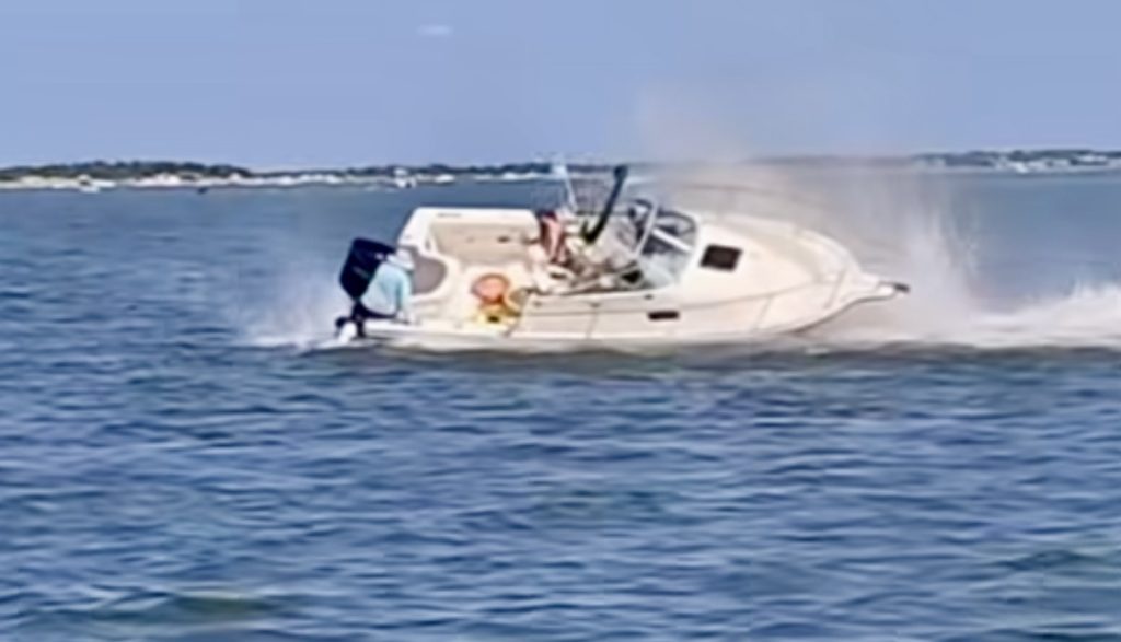 A vessel in Barnegat Bay encounters a whale near the Double Creek Channel. (Credit: Screenshot/Fisherman's Headquarters/ Instagram)