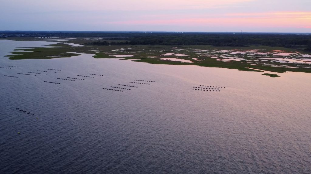 Shellfish farms in Brick Township on northern Barnegat Bay. (Photo: Shorebeat)