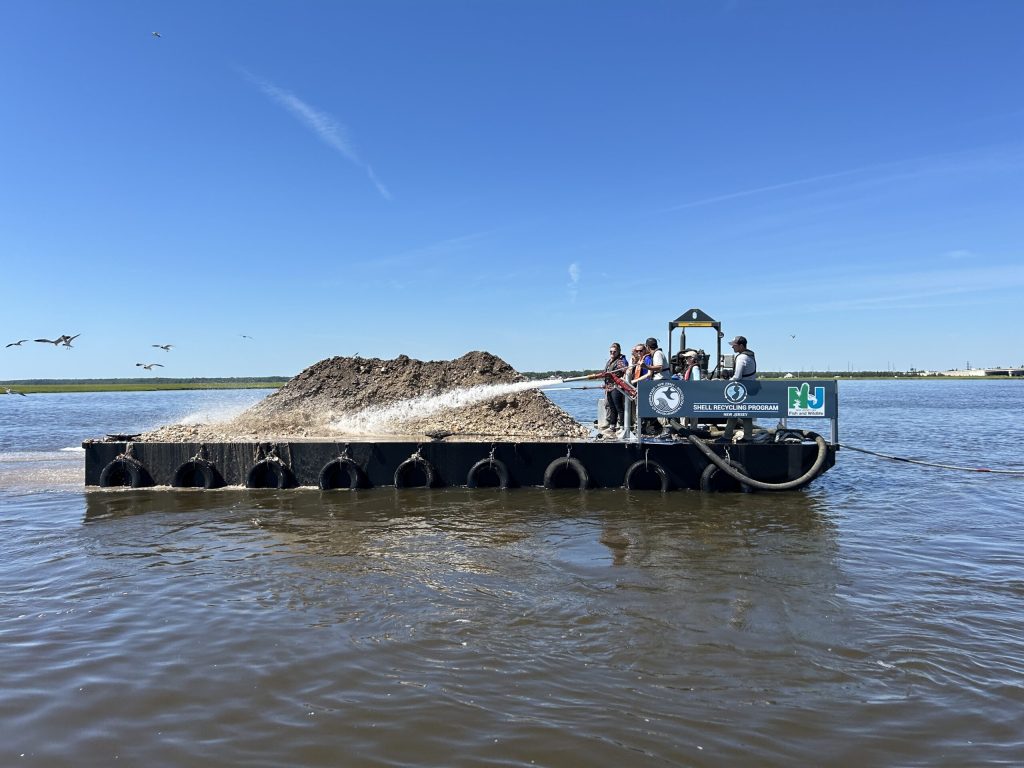 Shells collected and distributed under the NJDEP's oyster reef partnership with restaurants. (Credit: NJDEP)
