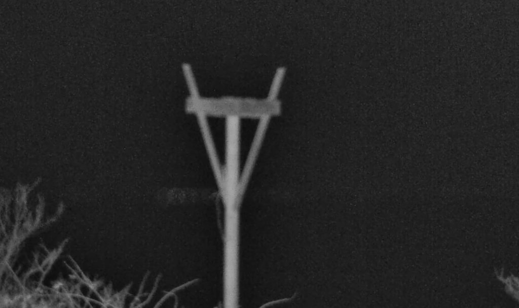 Nighttime shots of the osprey nest and J Street Marina from the Seaside Park, NJ webcam. (Screenshot)